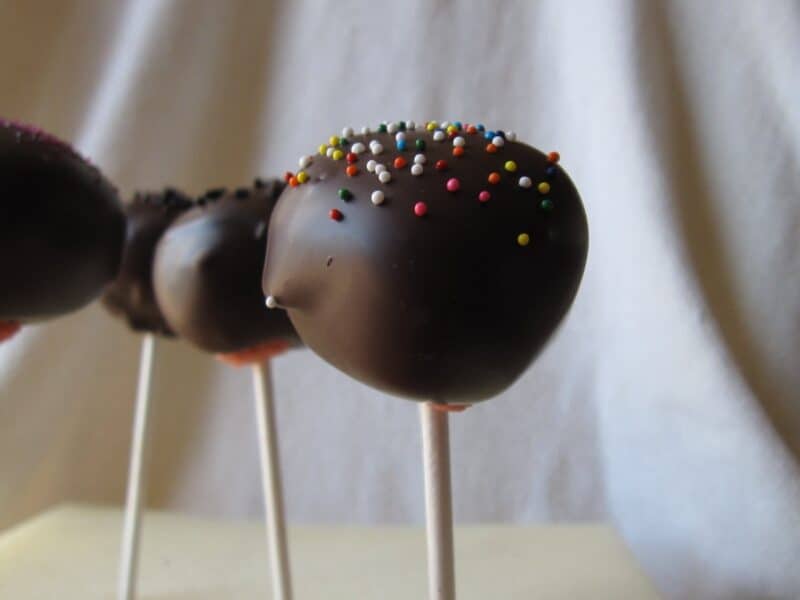 cupcake pops