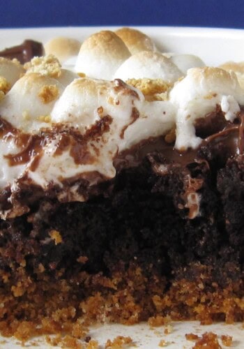 Close-up of a s'mores brownie topped with toasted marshmallow and graham cracker crumbs