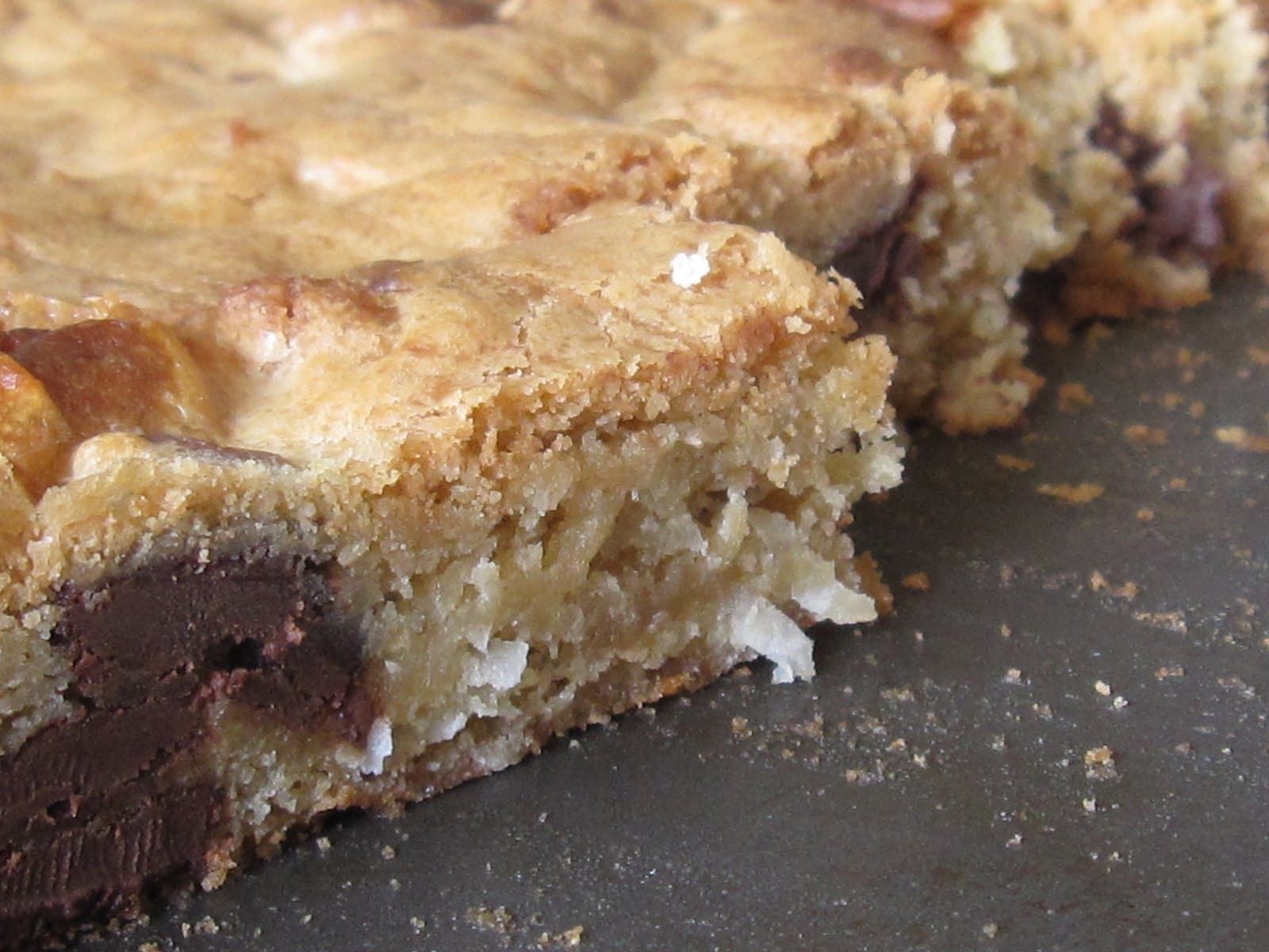 Close-up of a chocolate-chip blondie