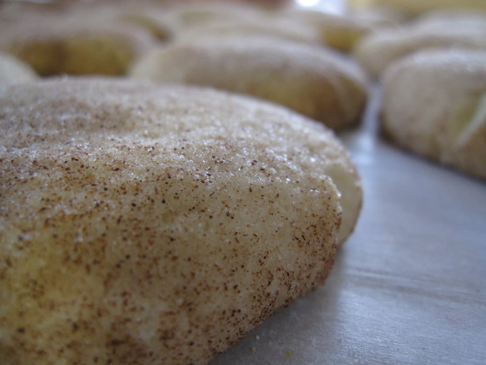 Close-up of a snickerdoodle cookie