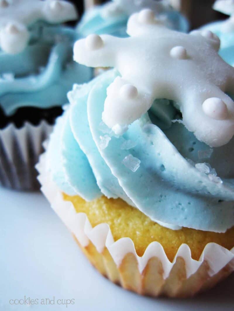 snowflake cupcakes and a bone to pick