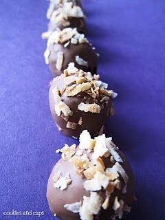 Samoa Truffles with coconut topping in a line