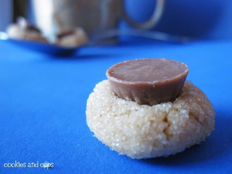 tiny peanut butter cup blossoms