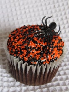 A chocolate cupcake decorated with black and orange Halloween-themed sprinkles and a plastic spider.