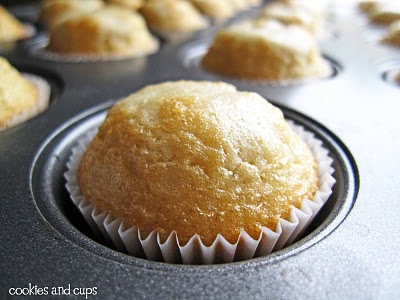 Close-up of a vanilla cupcake in a pan