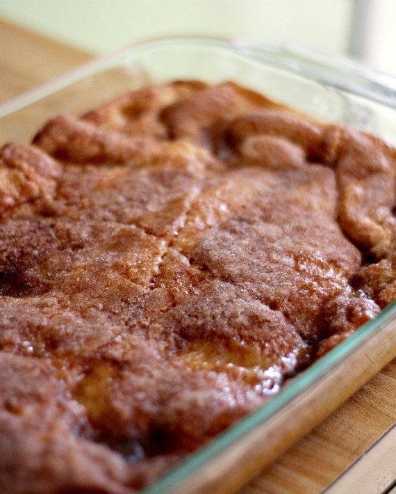 Baked cheesecake bars with the dough covered in cinnamon sugar.