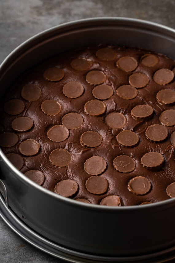 Reese's Cups pressed into the fudge layer inside a springform pan.