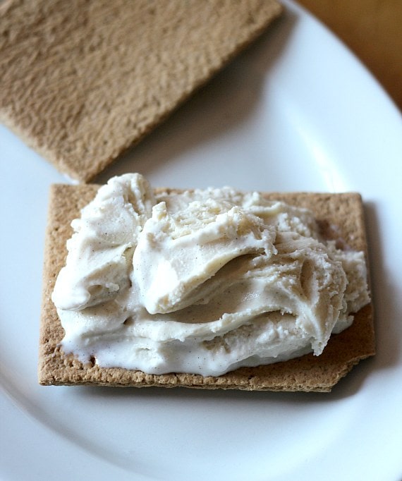 An open-faced Pop Tart ice cream sandwich waiting for its other half.