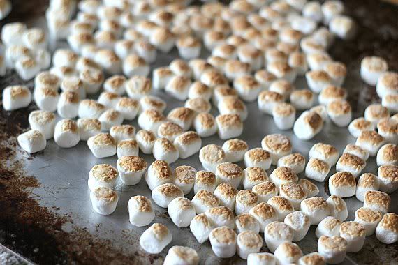 Toasted mini marshmallows on a sheet pan
