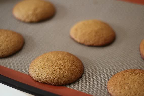 Baked graham cracker whoopie pie cakes on a baking mat