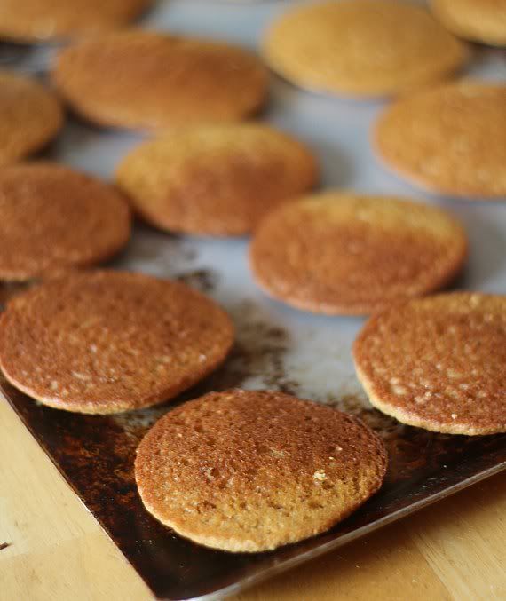 Graham cracker whoopie pie cakes on a baking sheet ready for filling