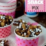 Title Image for S'mores Snack Mix