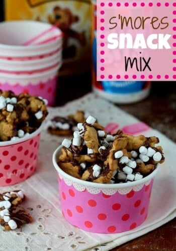 Title Image for S'mores Snack Mix