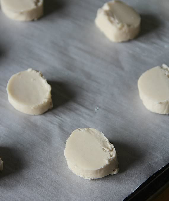 Round slices of key lime shortbread cookie dough on a parchment-lined baking sheet