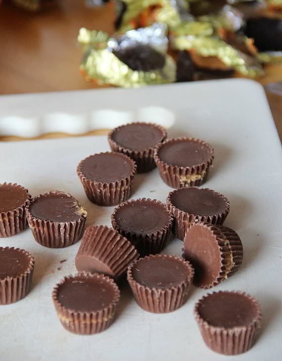Mini peanut butter cups on a white plate