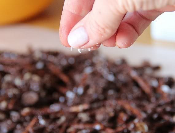 Coarse salt being sprinkled over Chubby Hubby Snack Mix