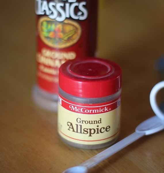 Containers of Ground Allspice and Cinnamon