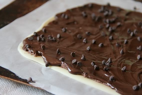 Chocolate chips sprinkled on top of layers of white chocolate, brownie batter, and chocolate