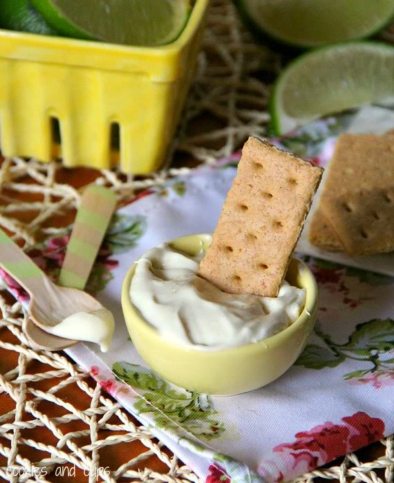 Image of A Graham Cracker Dipped in Key Lime Pie Dip