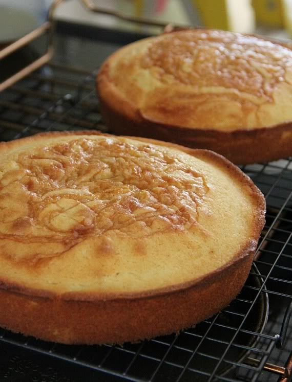 Two round vanilla caramel cakes on a cooling rack