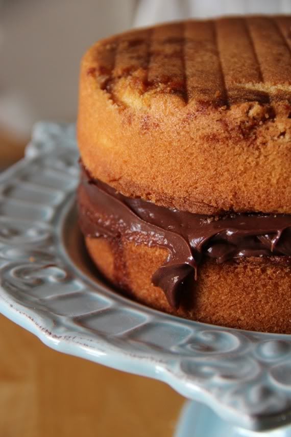 Two round vanilla cake layers with chocolate frosting in the middle