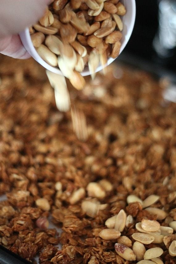 Peanuts being poured into a pan of peanut butter oats