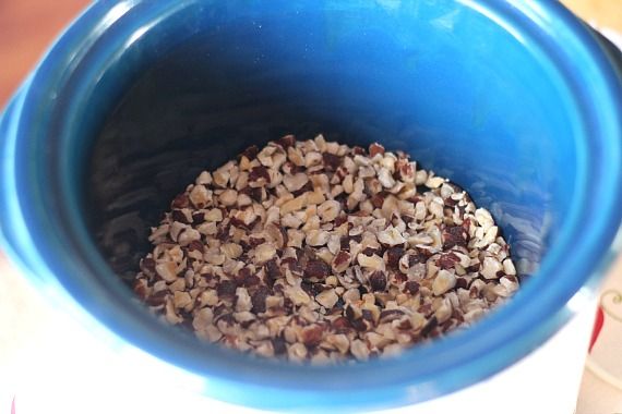 Chopped hazelnuts in the bottom of a slow cooker.