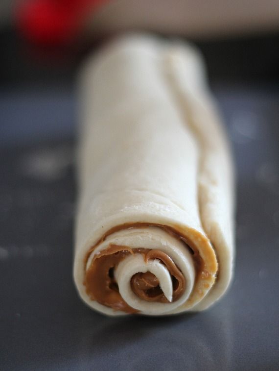 A log of crescent roll dough with biscoff spread rolled up