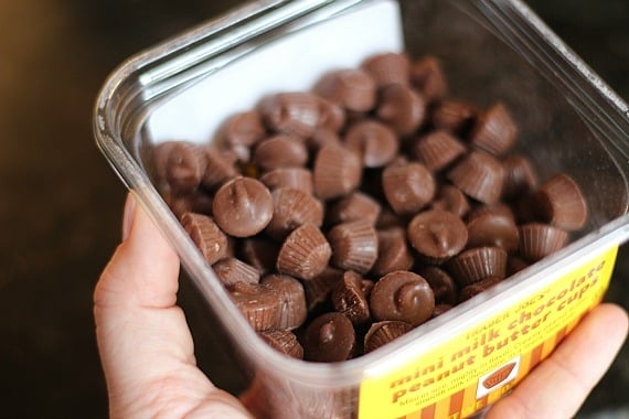 Trader Joe's mini peanut butter cups in a plastic container