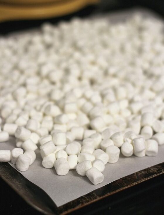 Toasted Marshmallow Krispie Treats Easy Rice Krispie Treat Recipe