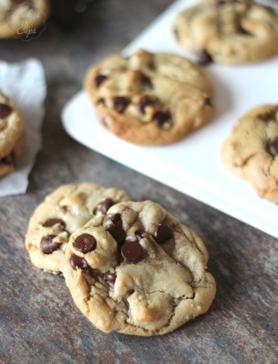 Chocolate chip cookies store with oil