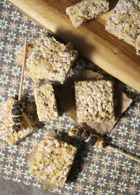 Toasted Marshmallow Krispie Treats