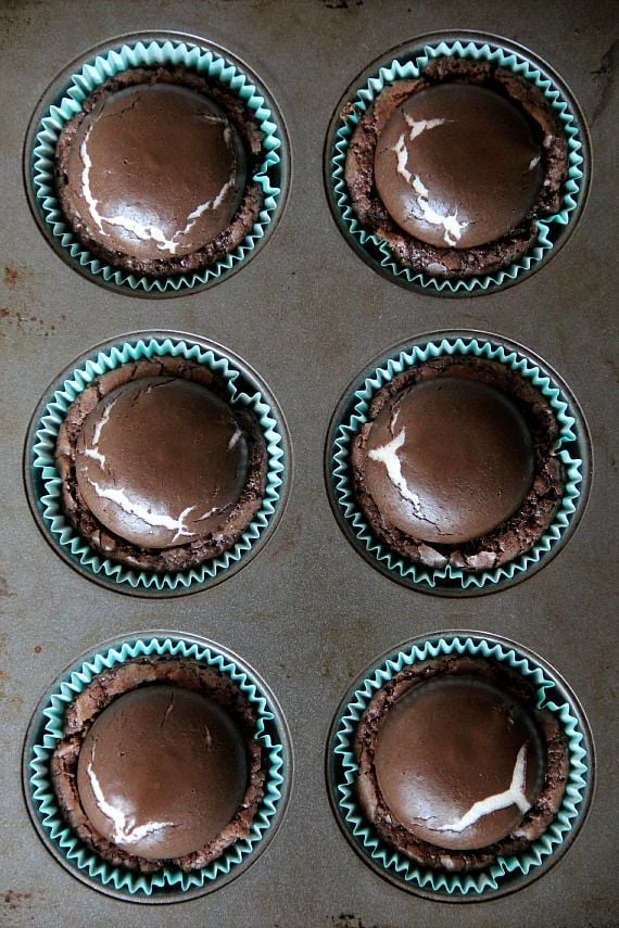 Top view of mallomar brownies in a muffin tin