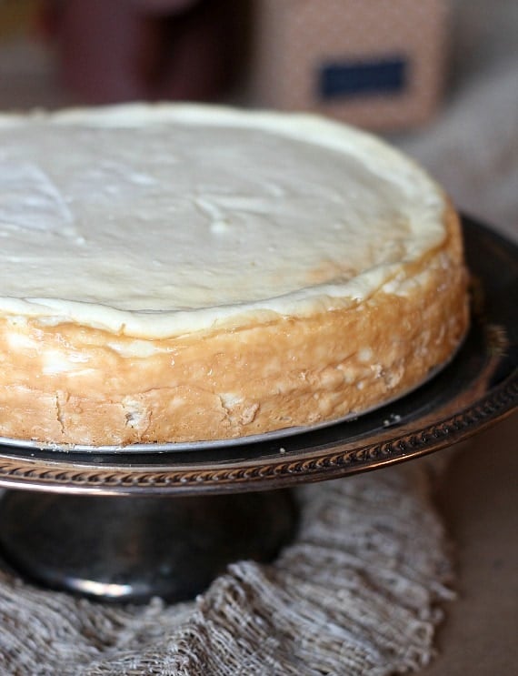 Boston Cream Pie Cheesecake - Cookies and Cups