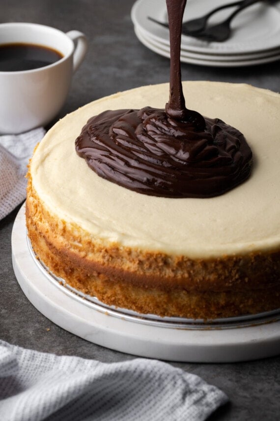 Chocolate ganache is drizzled overtop a baked Boston Cream Pie cheesecake.