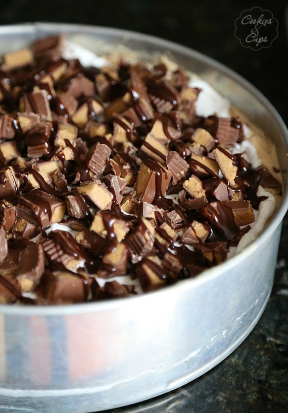 Peanut Butter Cup Brownie Cheesecake | www.cookiesandcups.com