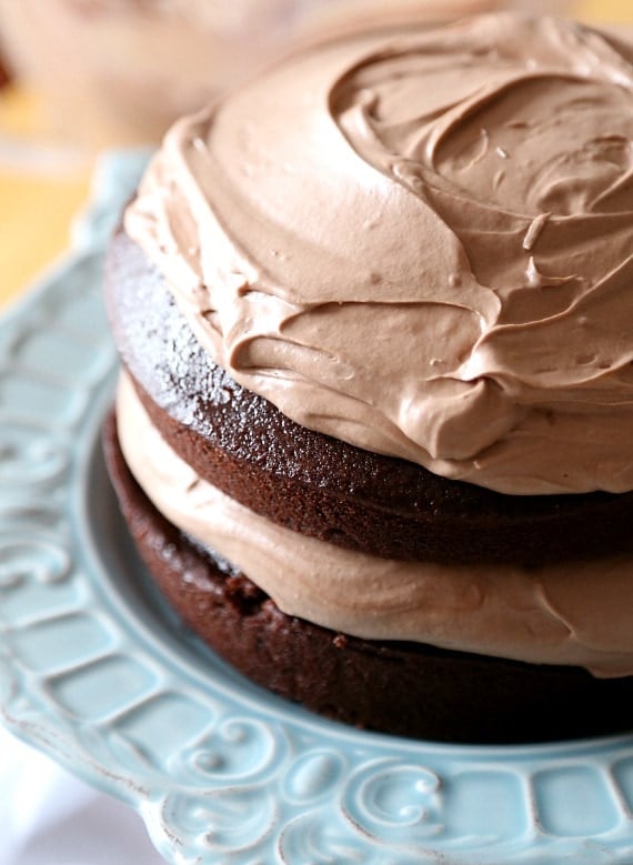 Chocolate Hazelnut Layer Cake. Love it when a cake is as pretty as it is delicious! Starts with a one bowl chocolate cake! www.cookiesandcups.com