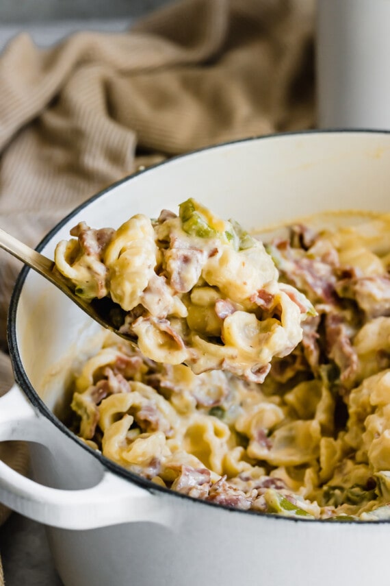 Spoonful roast beef mac and cheese.