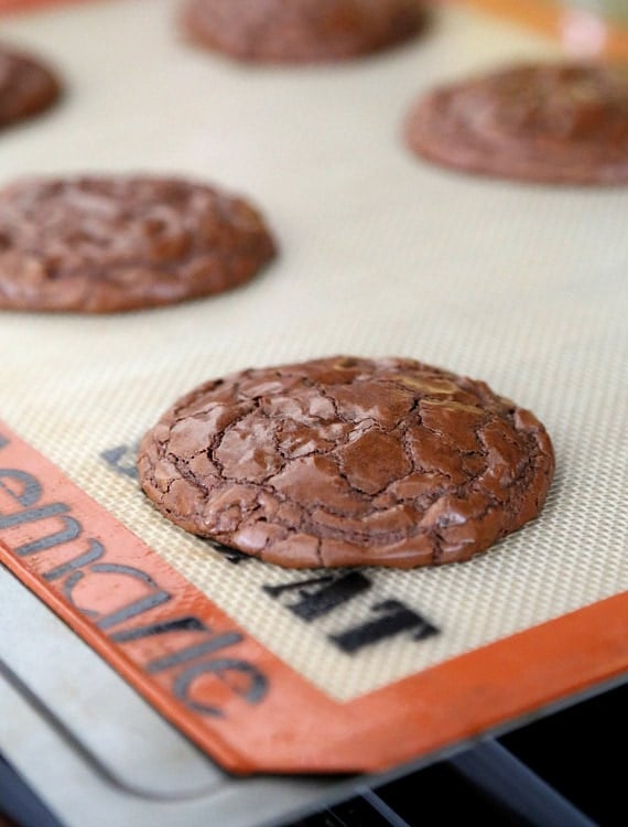 Brownie Cookie Sandwiches ~ The perfect chewy brownie cookie that I filled with frosting and peanut butter!