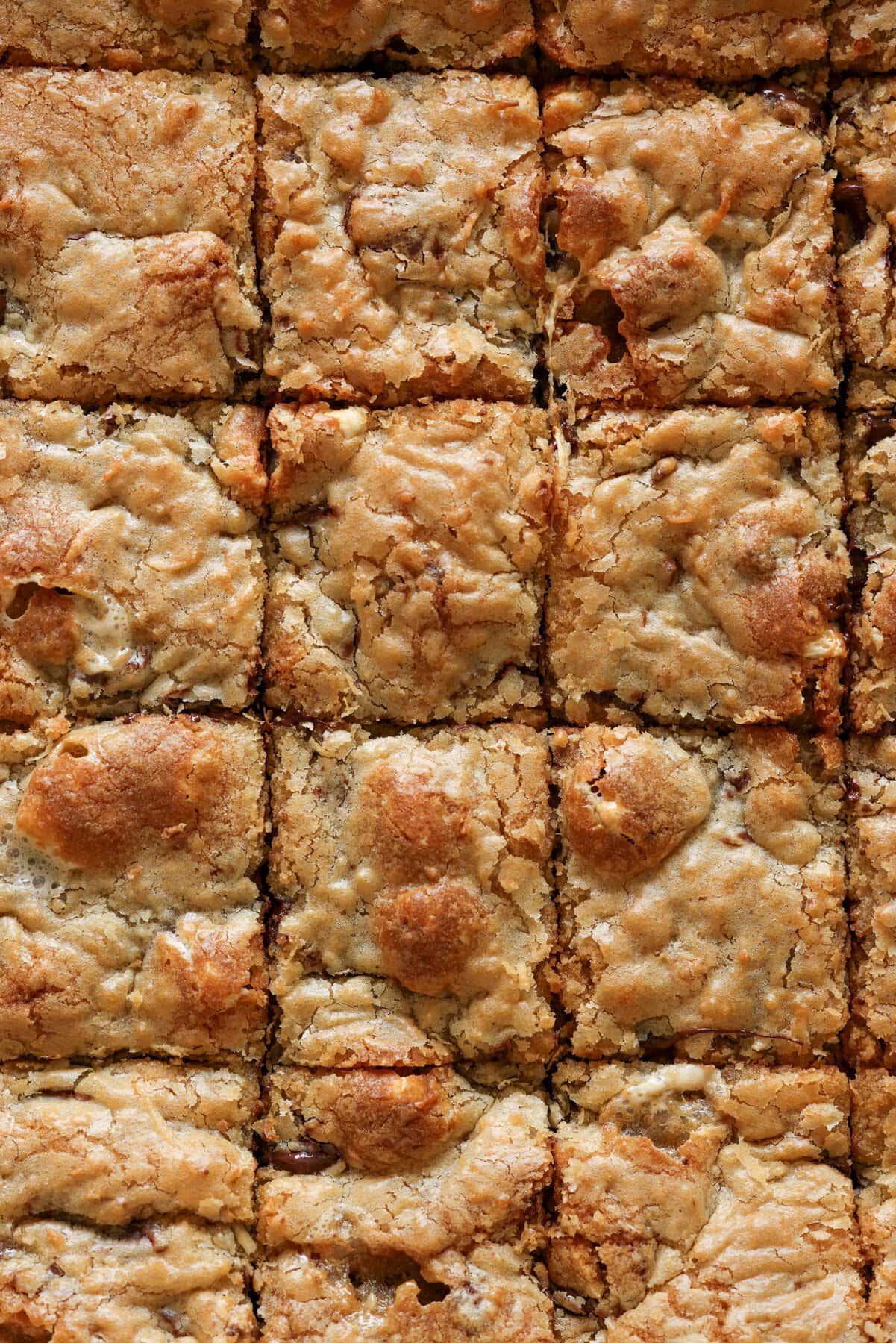 Blondies recipe baked in a large baking dish cut into squares from above
