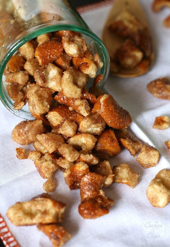 Cinnamon Sugar Pretzels...these are so simple!