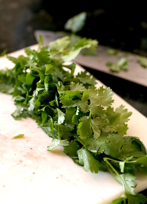 Chopped Cilantro