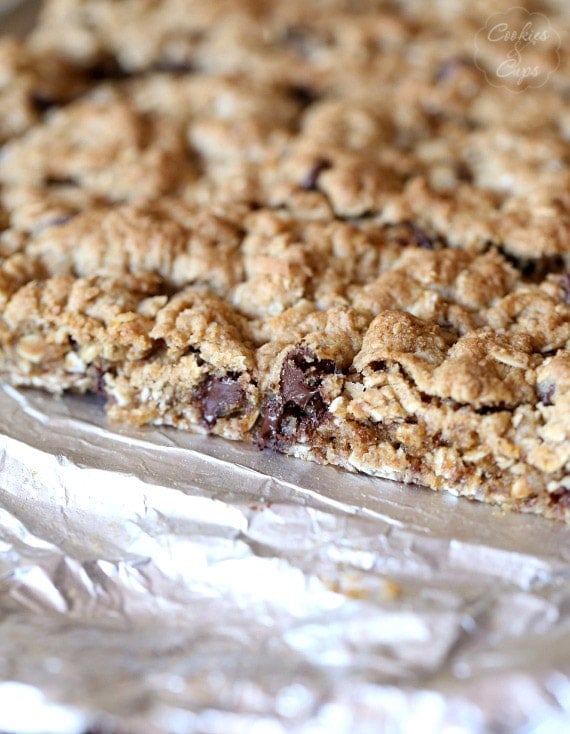 Salty Chocolate Chip Oats Bars ~ A yummy chocolate chip treat loaded with chewy oats!