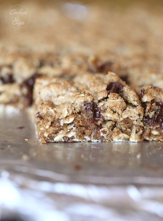 Salty Chocolate Chip Oat Bars