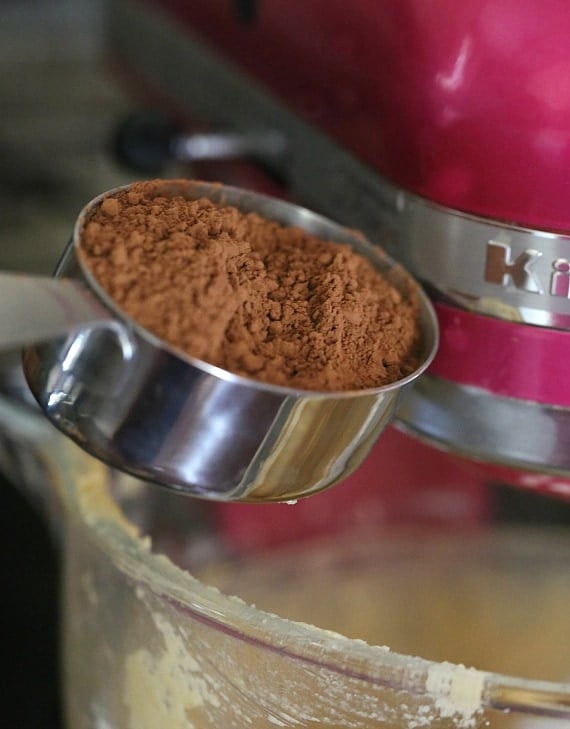 cocoa powder