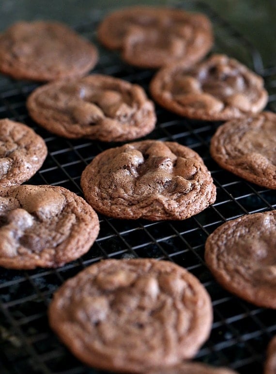 Chewy Chocolate Chocolate Chip Cookies