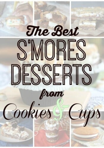 The Best S'mores Recipes on www.cookiesandcups.com