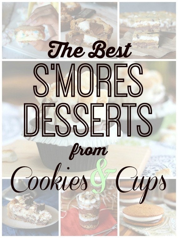 The Best S'mores Recipes on www.cookiesandcups.com