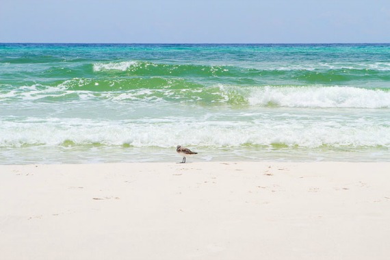 seaside-florida-2