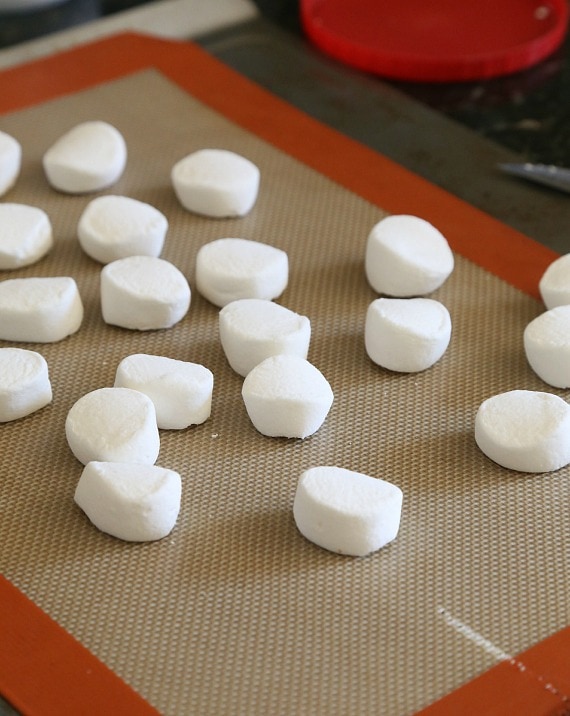 Marshmallows ready to go in under the broiler!